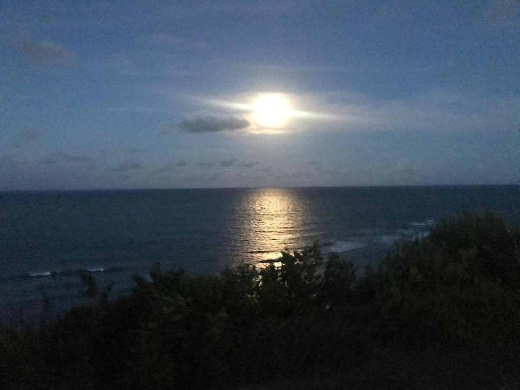 Pipatoa Bungalows Praia de Pipa Экстерьер фото